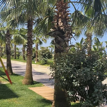 Seaside Escape - 50 M To Shore 2 * Golem (Tirana)